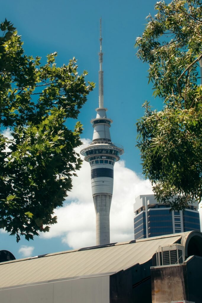 The Sky Tower framed by trees in central Auckland